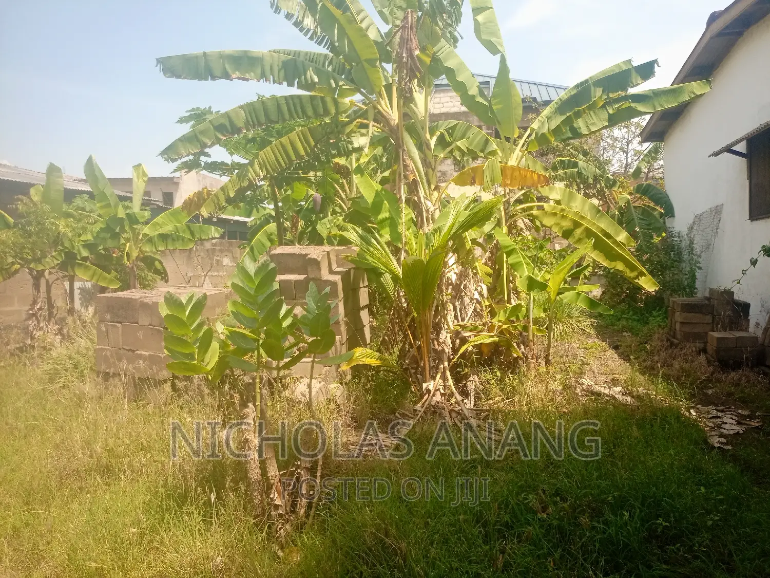 A Genuine Half Plot of Land for Sale at Lekma Hospital