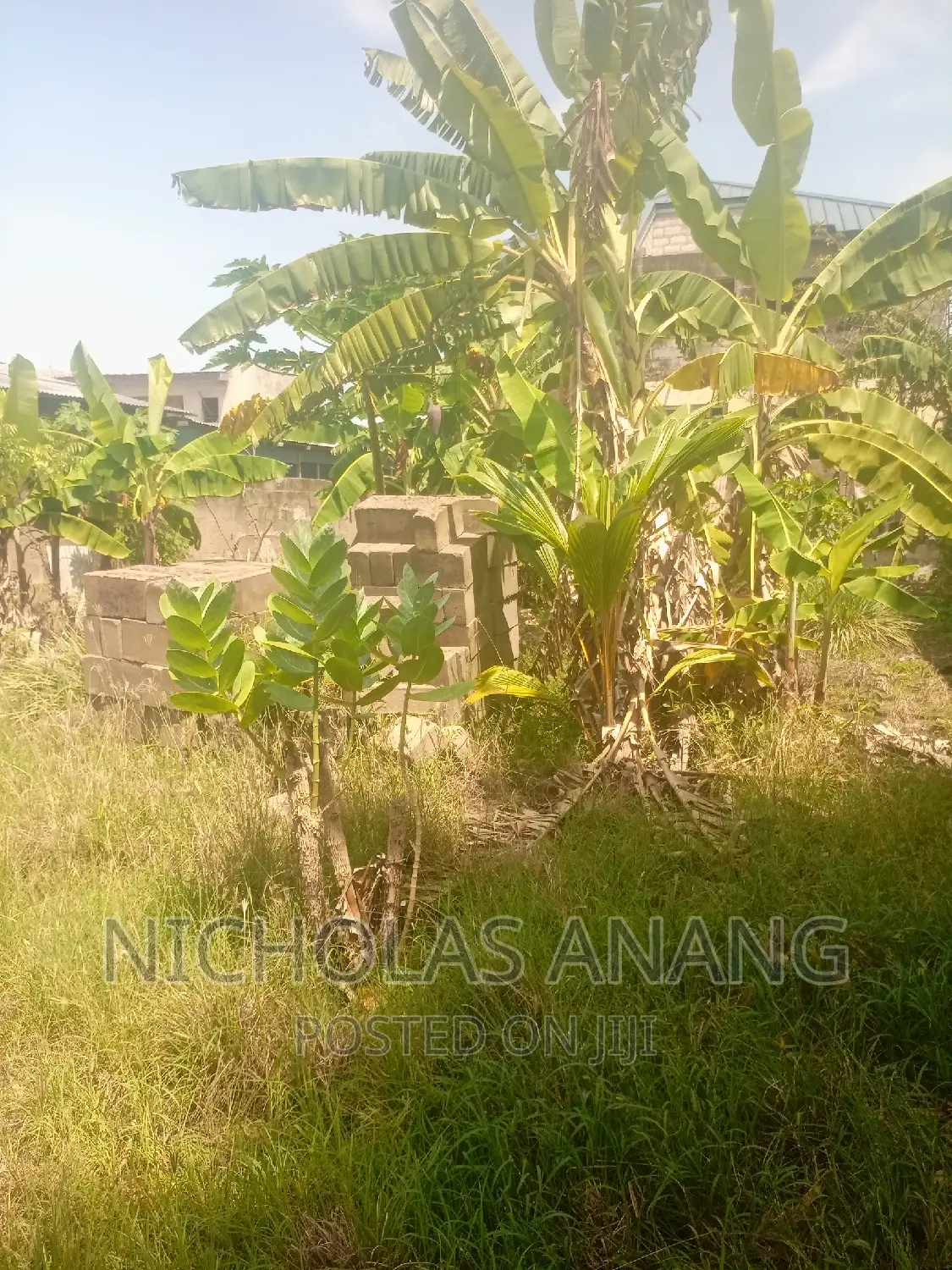 A Genuine Half Plot of Land for Sale at Lekma Hospital