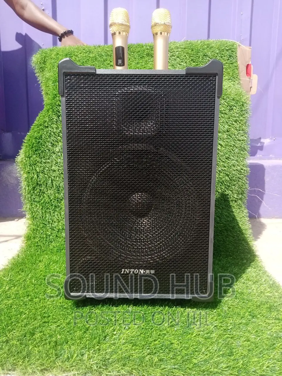 Professional Trolley Speaker [Rechargeable]