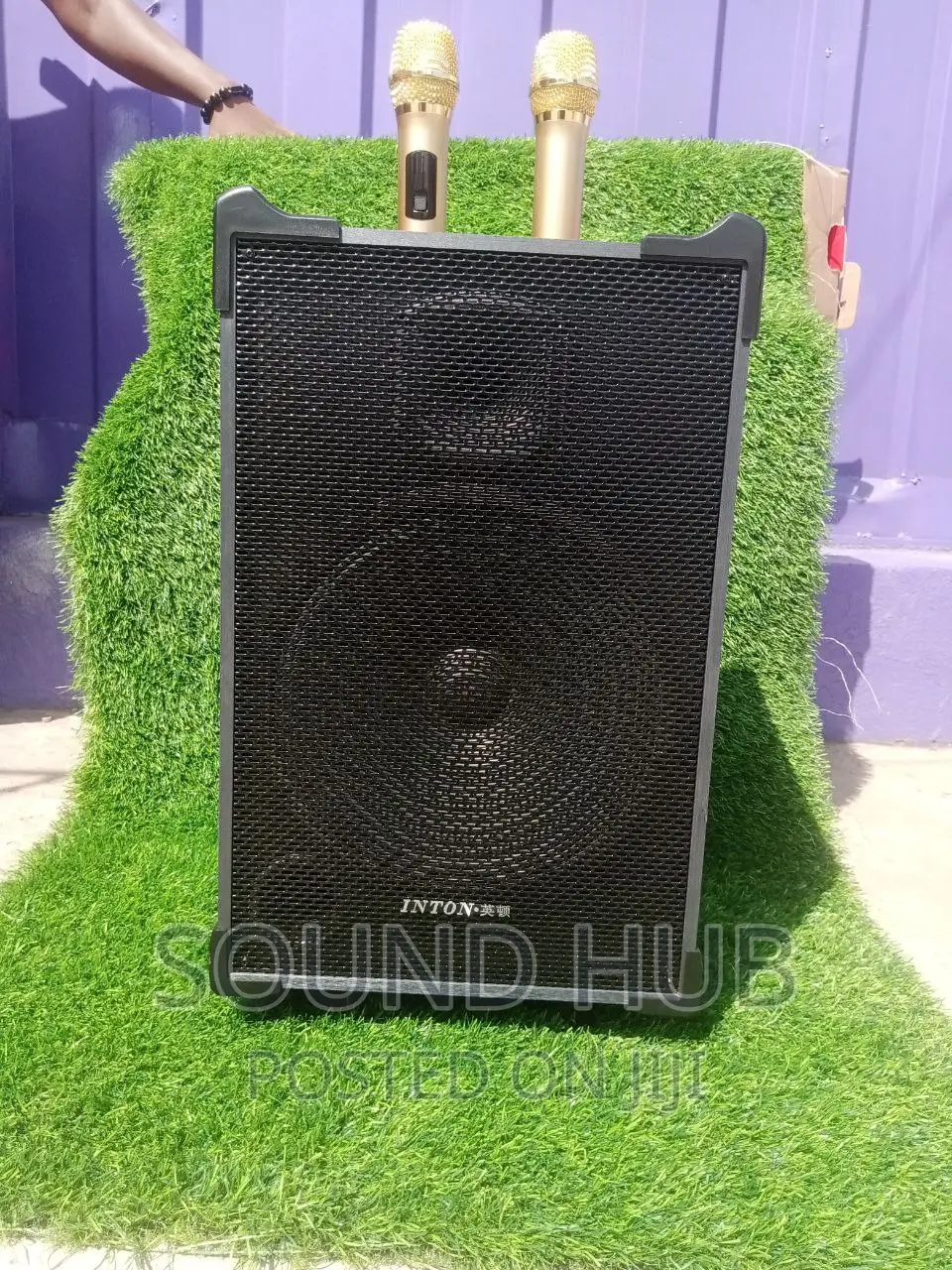 Professional Trolley Speaker [Rechargeable]