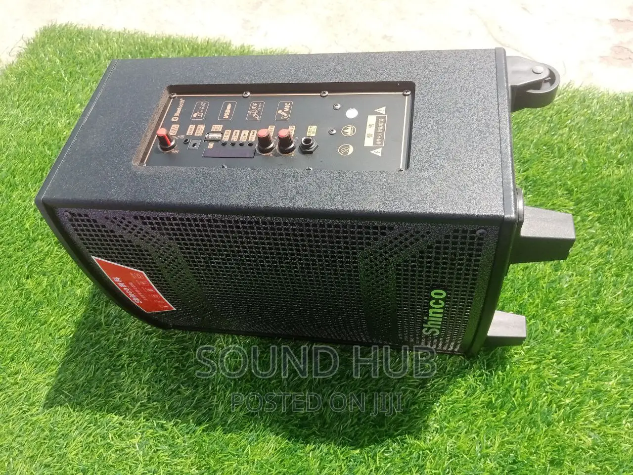 Shinco 10 Inch Professional Audio System
