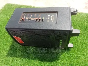 Shinco 10 Inch Professional Audio System