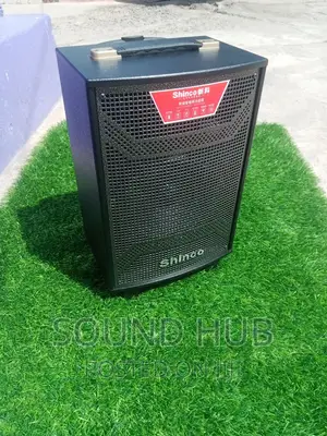 Shinco 10 Inch Professional Audio System