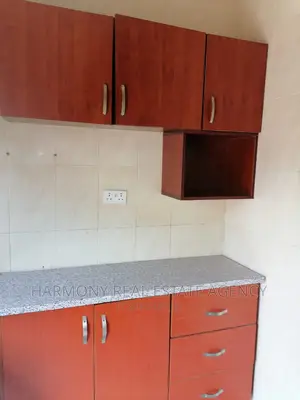 2bdrm Apartment in Dzorwulu for rent