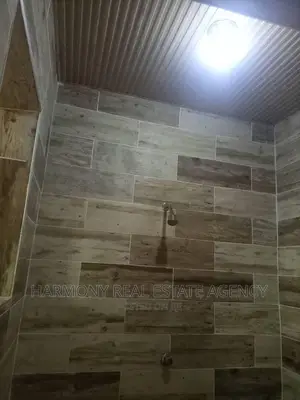 2bdrm Apartment in Dzorwulu for rent