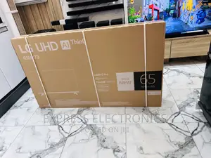 Enjoy Netflix on LG Smart UHD Smart 65”UR730