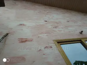 Professional Painting/ Skimming/Pop