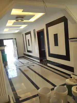 Professional Interior Painting (Design)