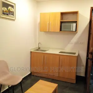 Spacious Furnished Studio Apartment at East Legon
