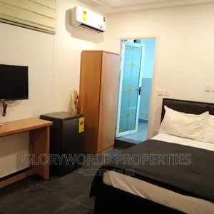 Spacious Furnished Studio Apartment at East Legon