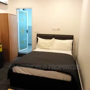 Spacious Furnished Studio Apartment at East Legon