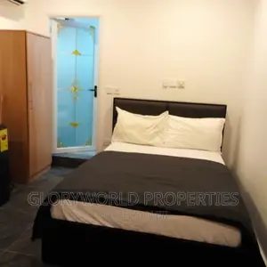 Spacious Furnished Studio Apartment at East Legon