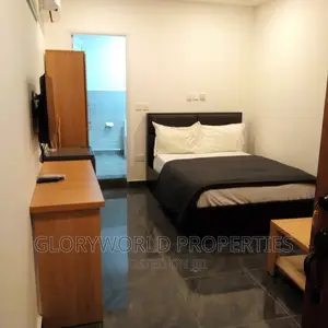 Spacious Furnished Studio Apartment at East Legon