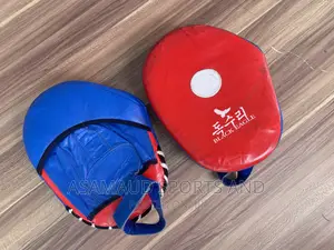 Original Training Hand Pad for Boxers at Cool Price