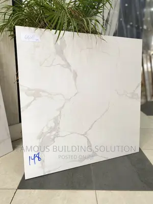 60/60 Floor Tiles Available (Polished Tiles)