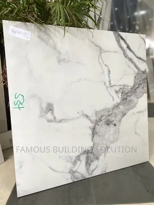 60/60 Floor Tiles Available (Polished Tiles)