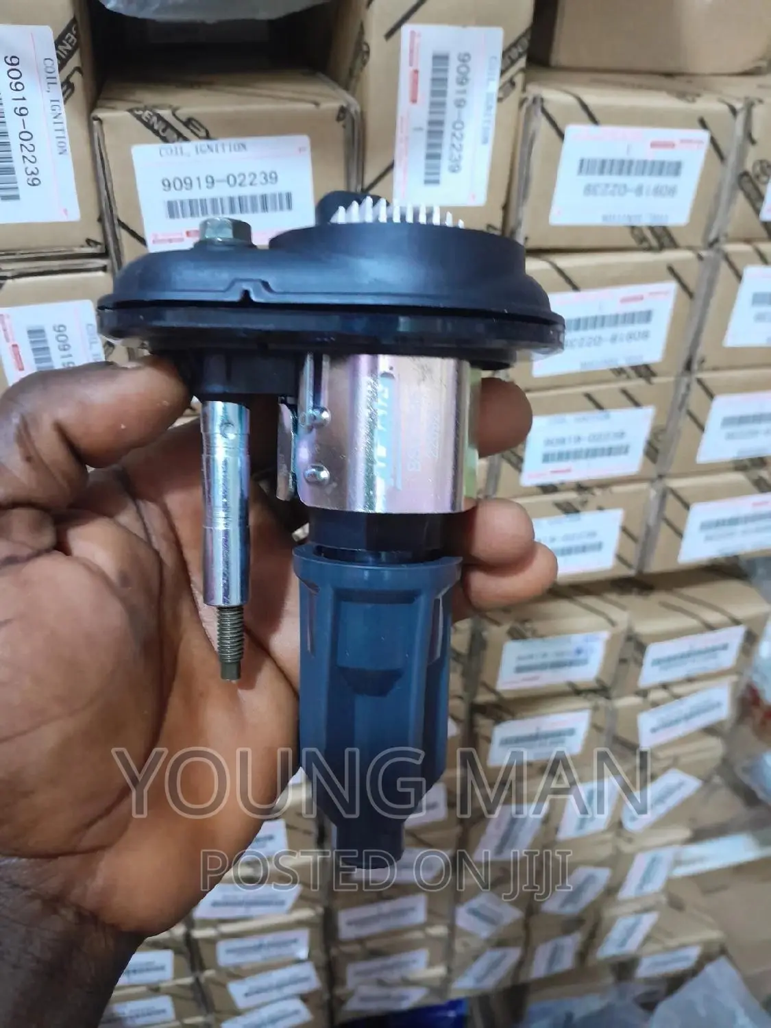 Hammer Iginition Coils