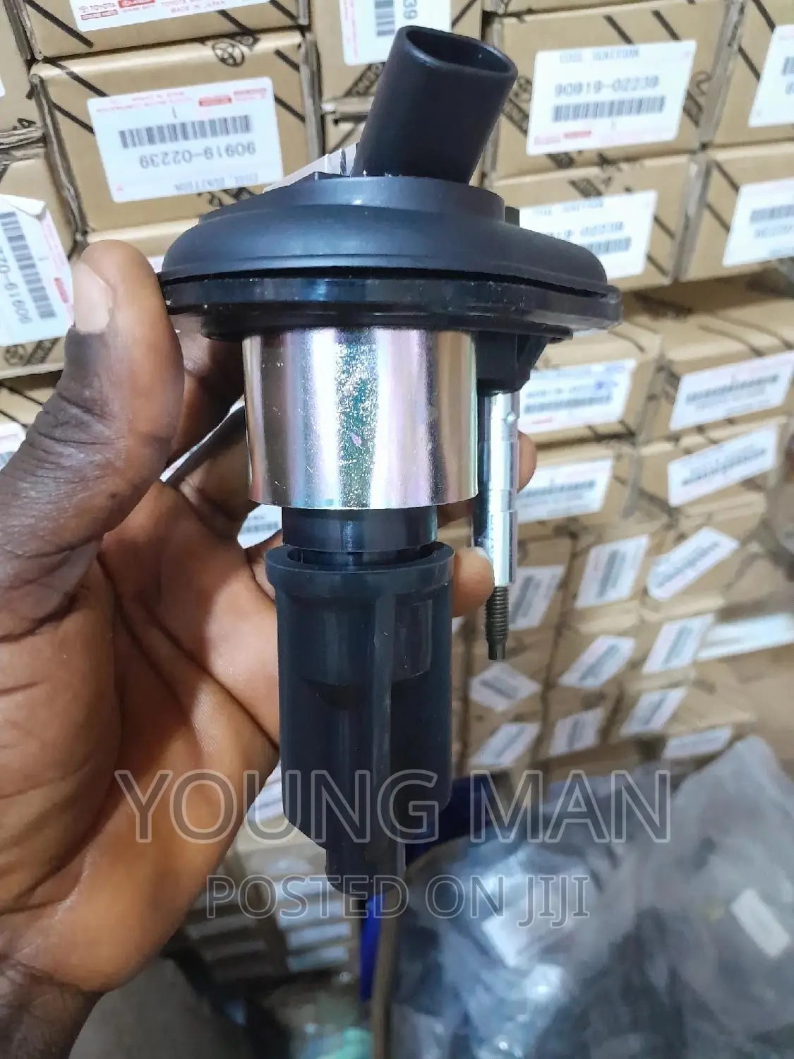 Hammer Iginition Coils