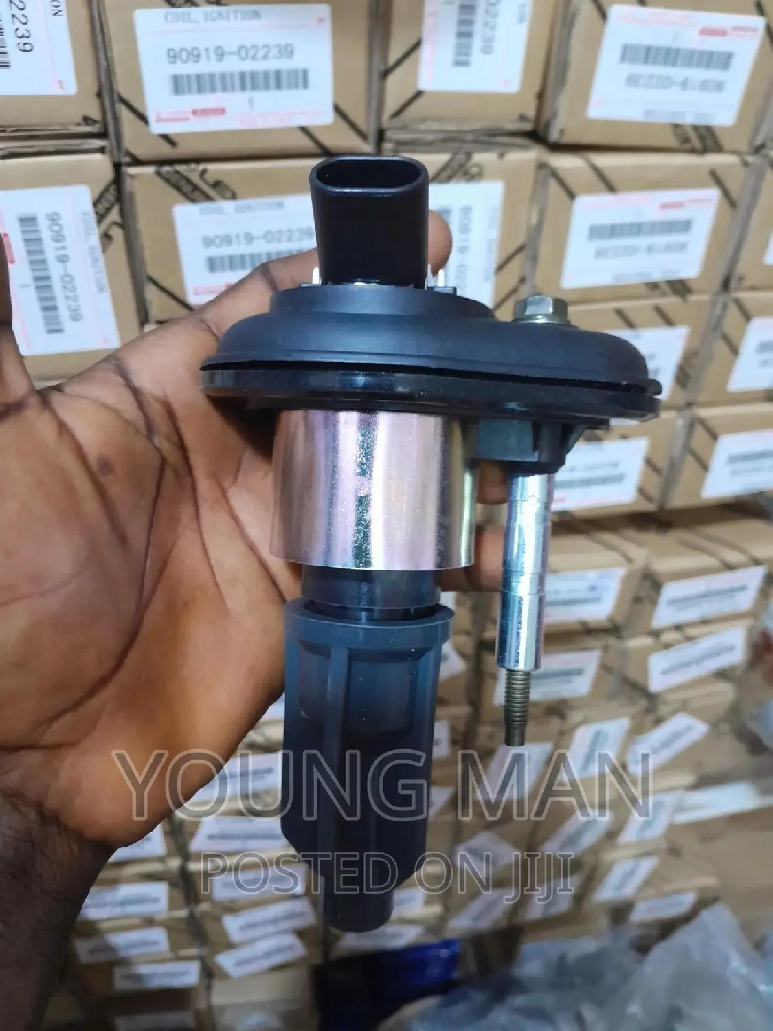 Hammer Iginition Coils