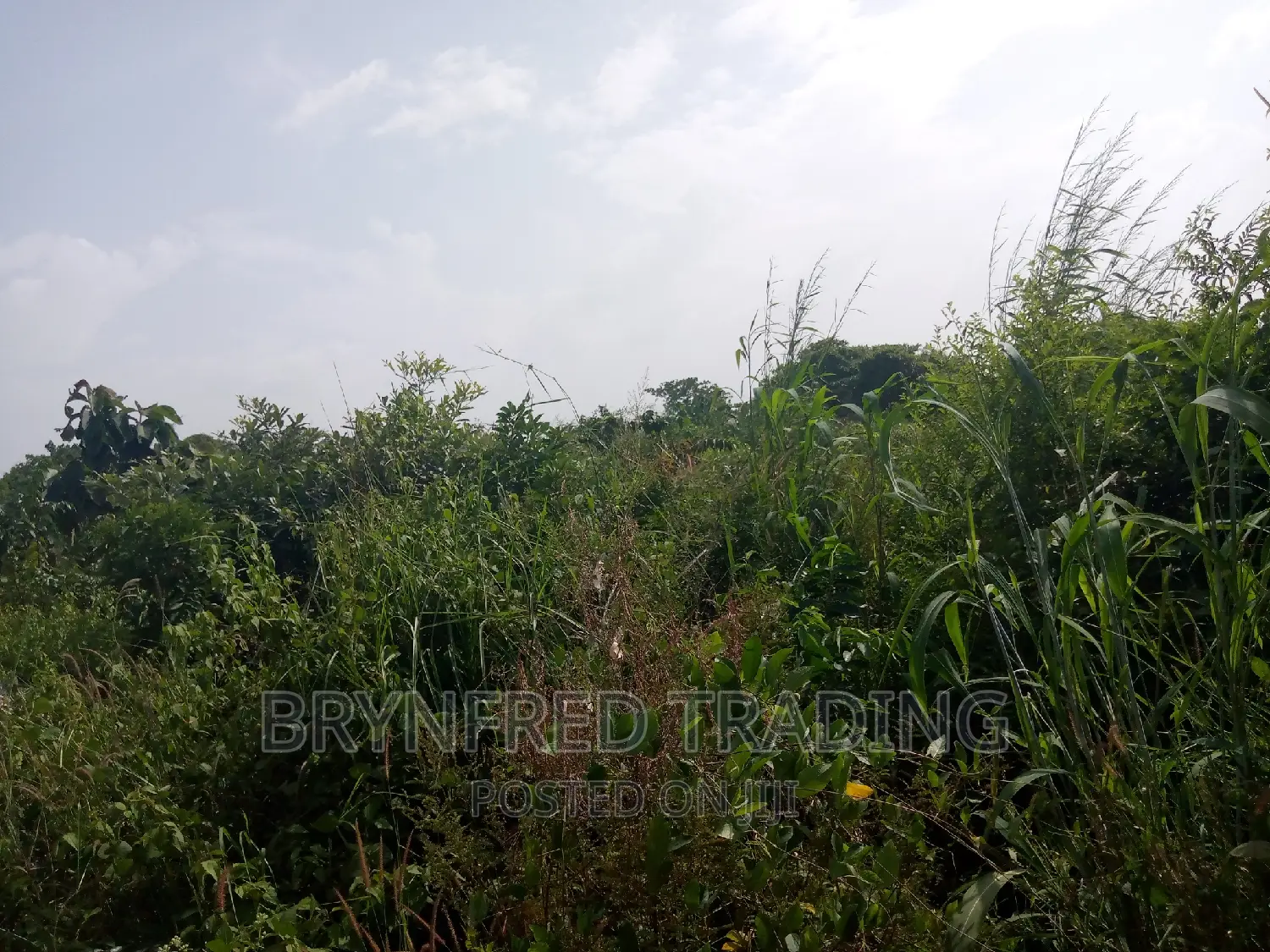 10 Acres Farmland for Sale
