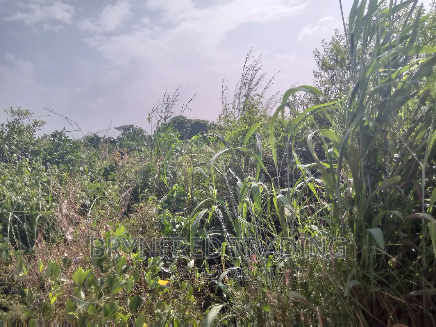 10 Acres Farmland for Sale