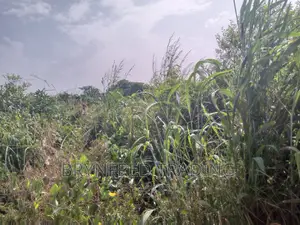 10 Acres Farmland for Sale