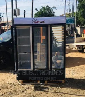 Quality Pearl 950 Liters 3 Doors Display