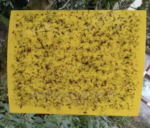Sticky Glue Trap