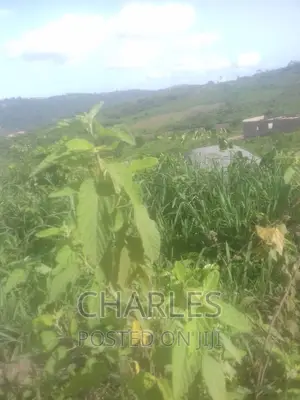 Estate Land for Sale at Adusa Near Pokuase