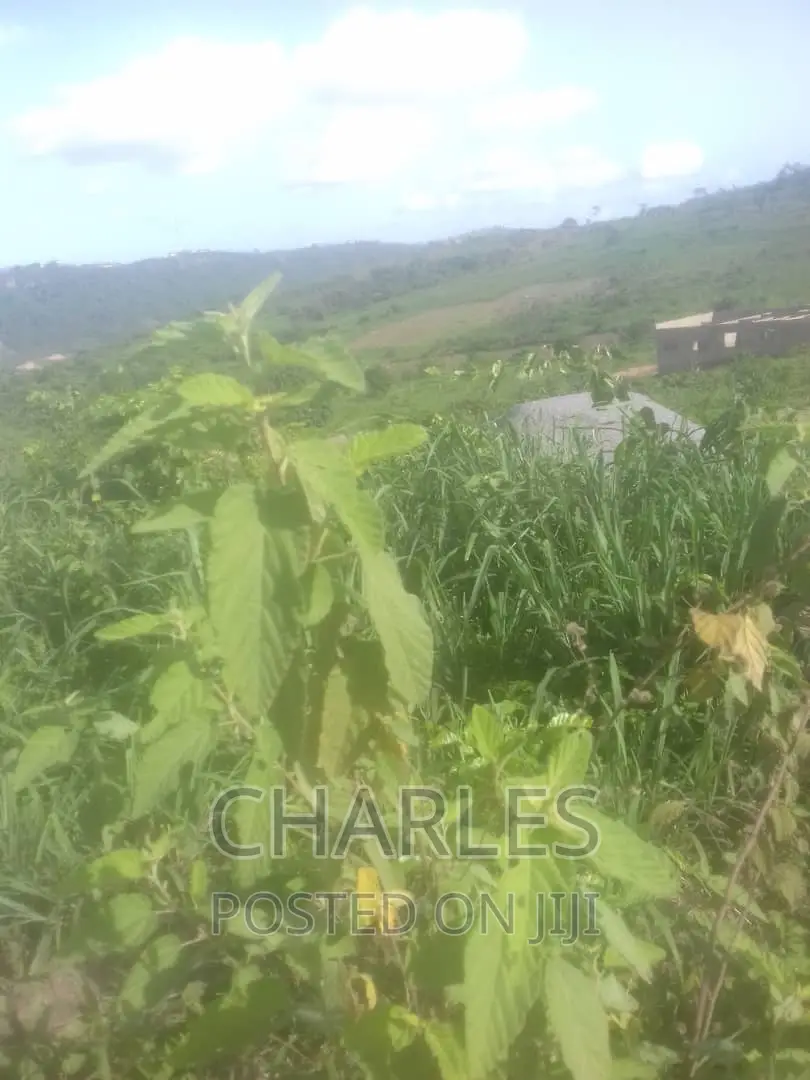 Estate Land for Sale at Adusa Near Pokuase