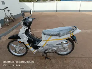 Luojia LJ110-10 2020