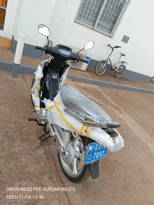 Luojia LJ110-10 2020