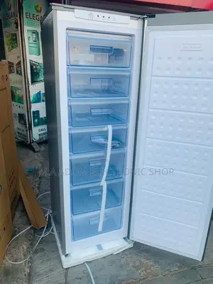 Fast Chilling Vovo Electric Upright Freezer(Gray)