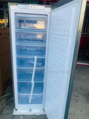 Super Chilling Vovo Electric Upright Freezer(Gray) 