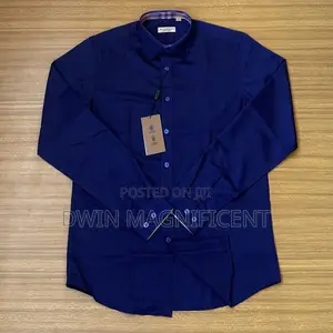Soft Cotton Burberry Shirt
