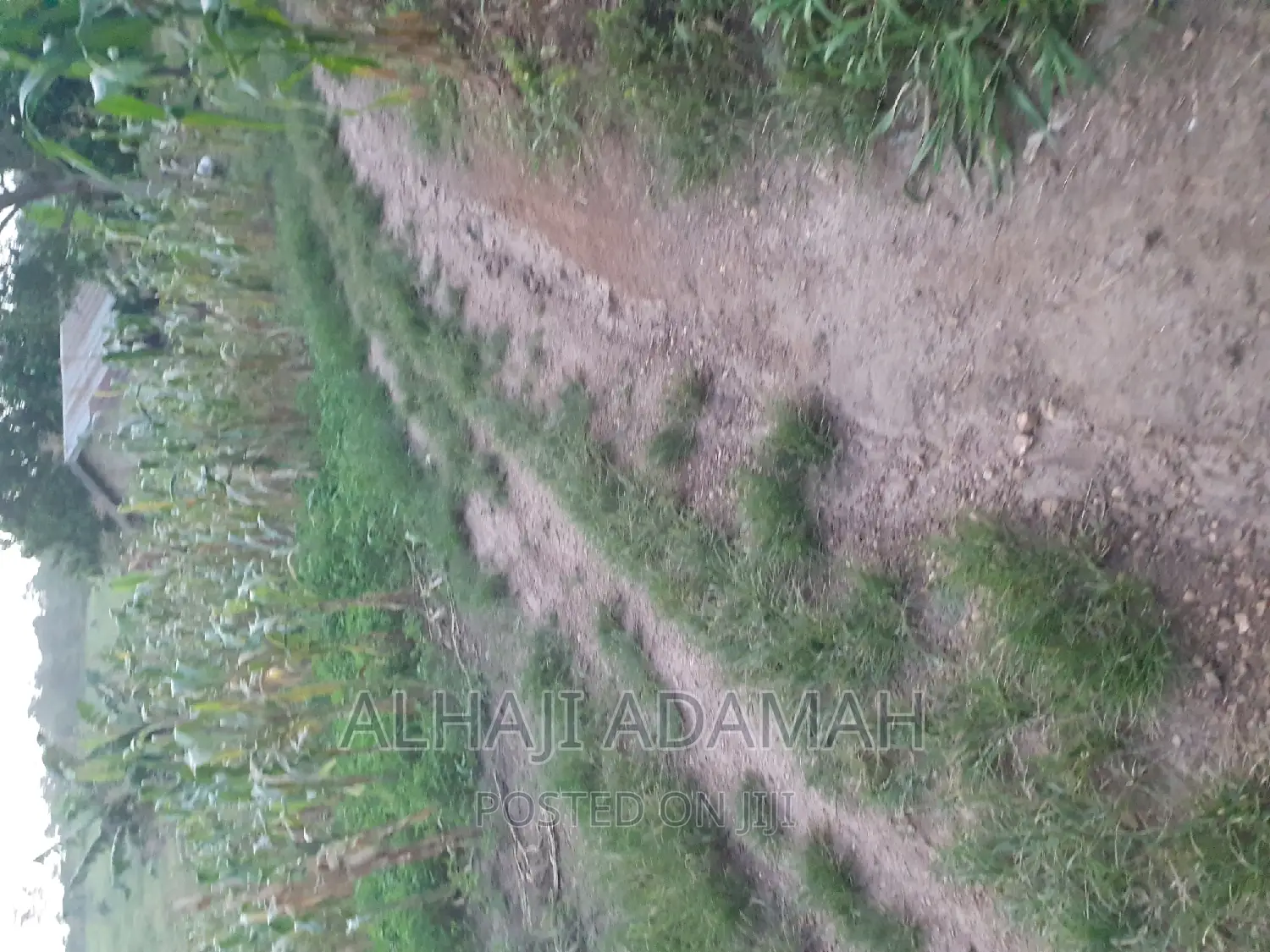 Land for Sale at Brofudro Ampemanim Kokoben