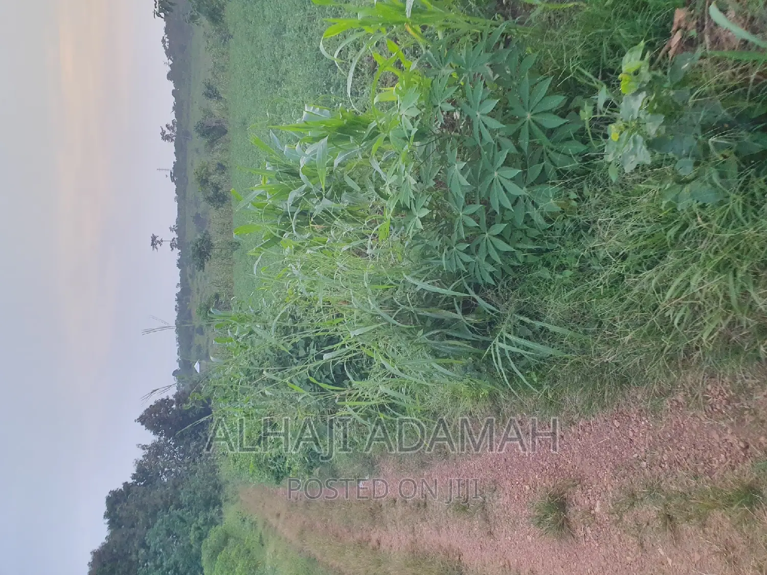 Land for Sale at Brofudro Ampemanim Kokoben