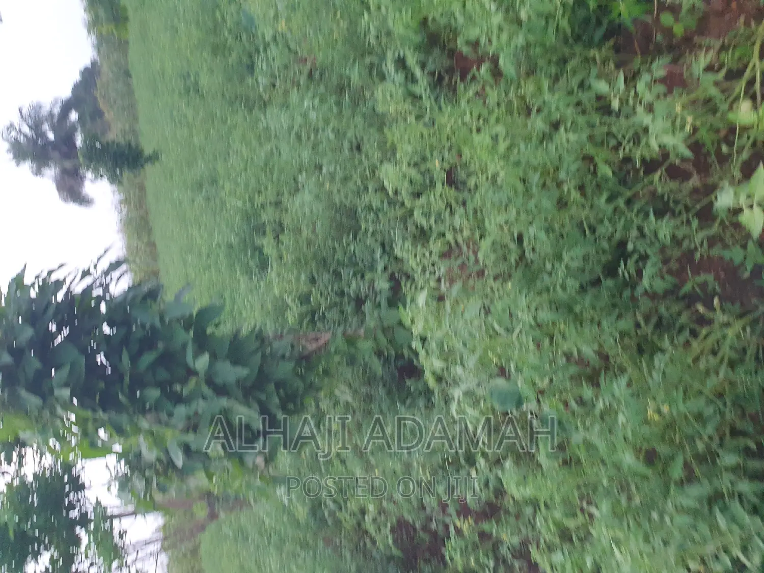 Land for Sale at Ampabame Kokoben