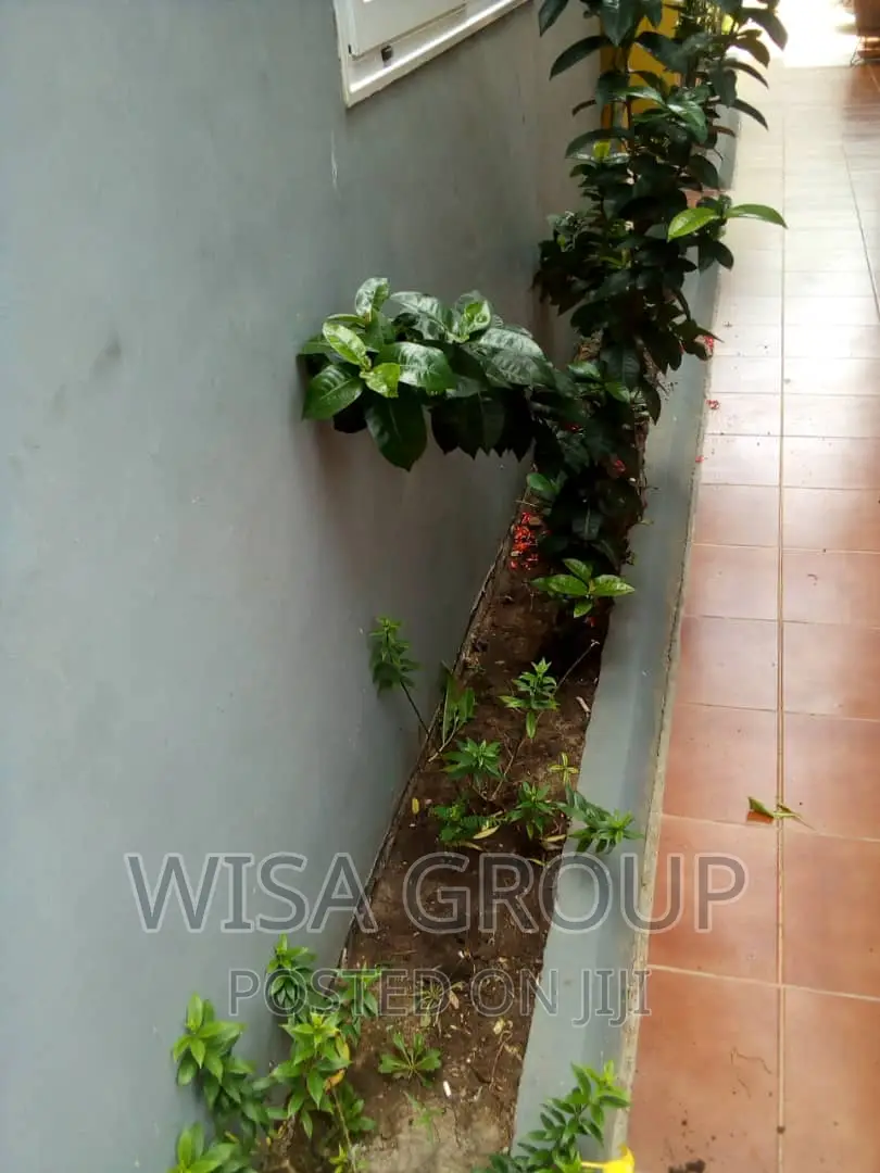 2bdrm Apartment in Wisa Groups, Accra Metropolitan for rent