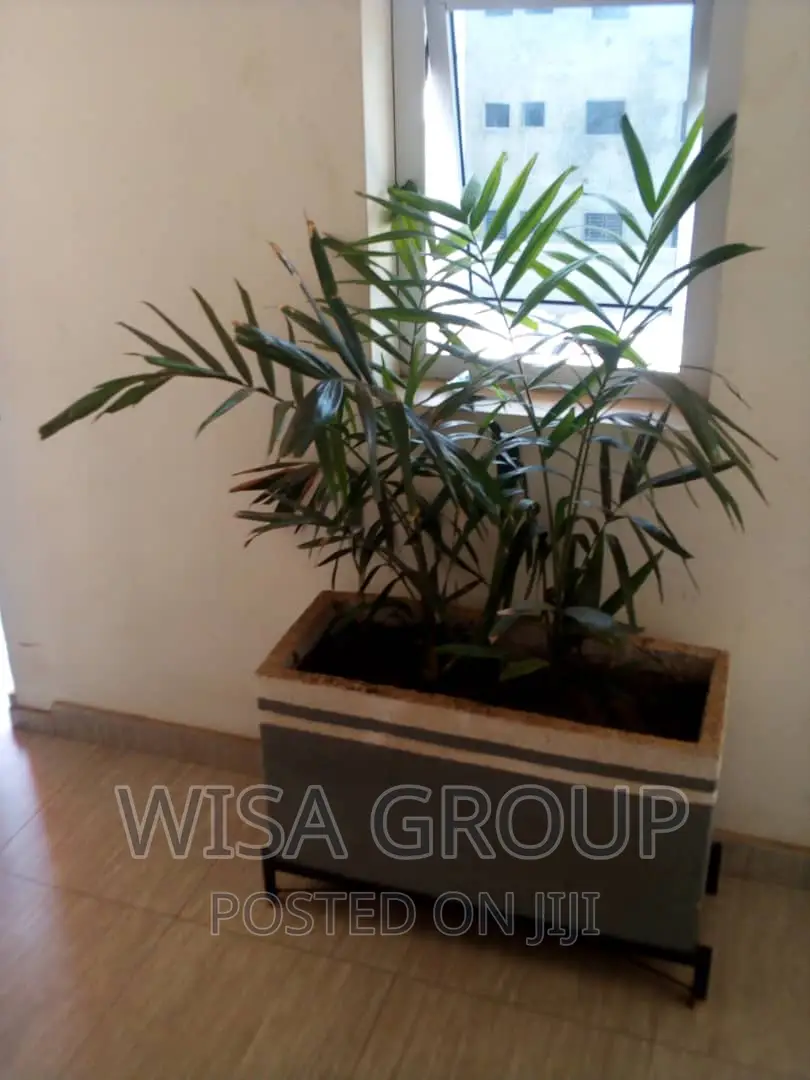 2bdrm Apartment in Wisa Groups, Accra Metropolitan for rent