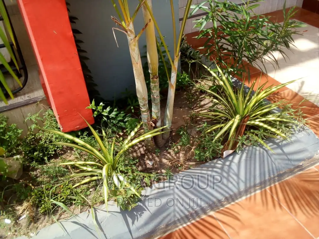 2bdrm Apartment in Wisa Groups, Accra Metropolitan for rent