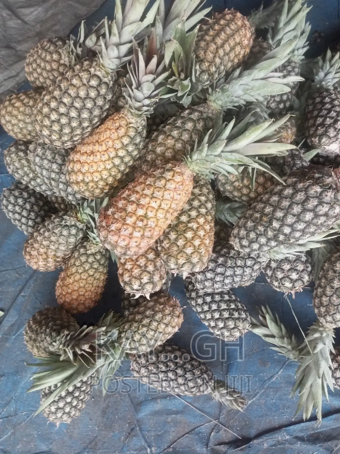 Fresh Pineapple