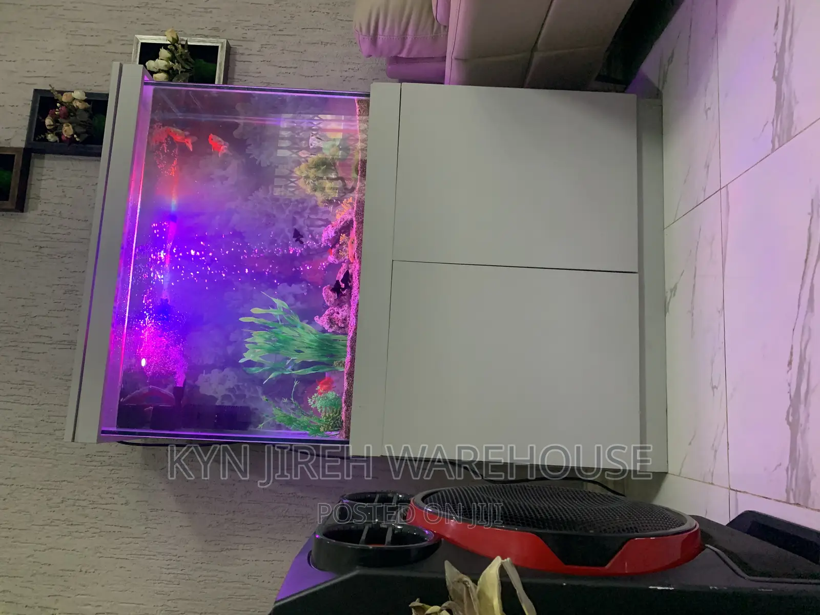 White Man Aquarium With 10 Fishes