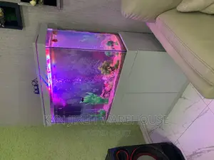 White Man Aquarium With 10 Fishes