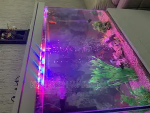 White Man Aquarium With 10 Fishes