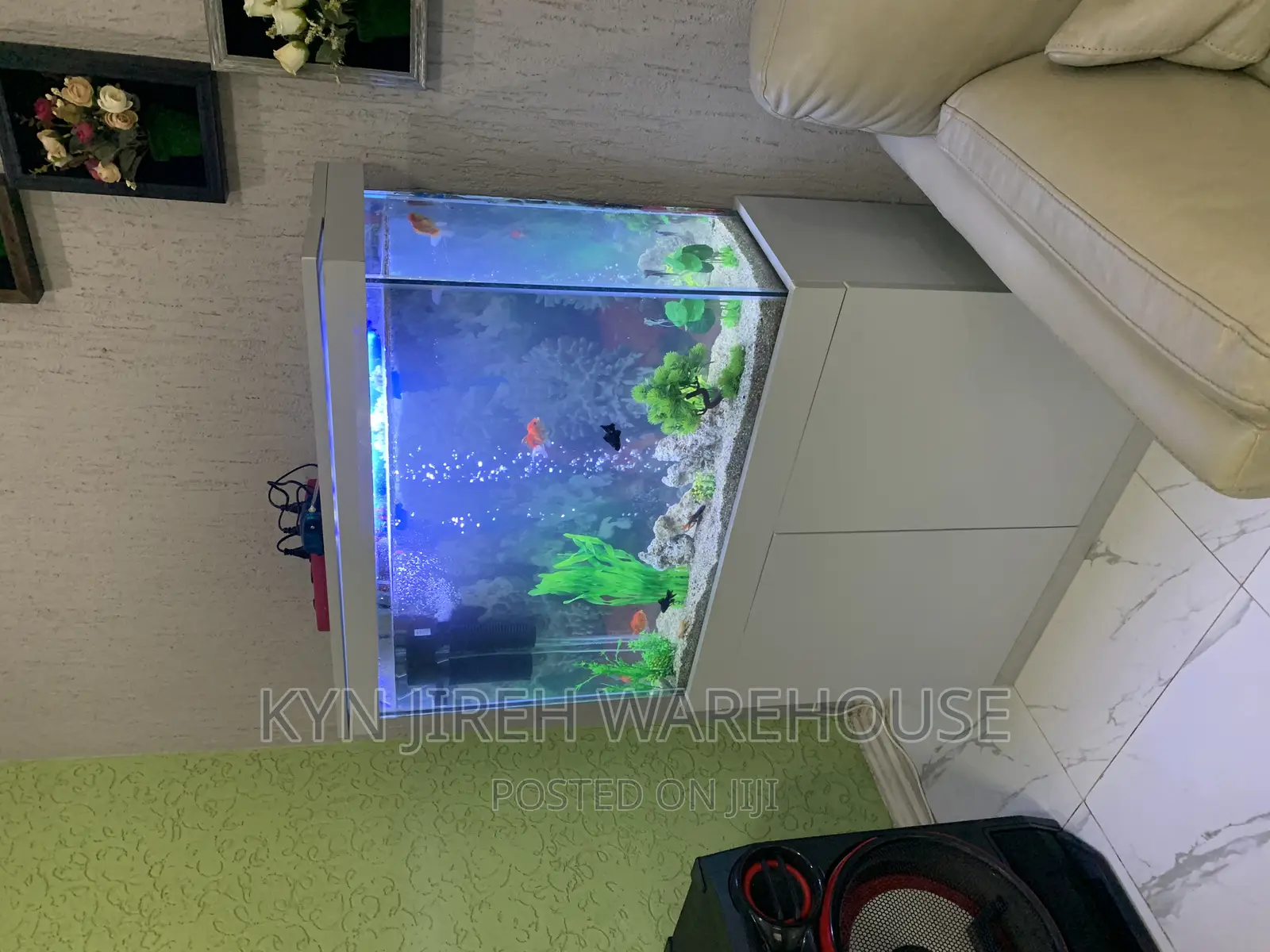White Man Aquarium With 10 Fishes
