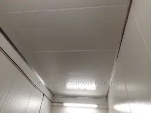 Sandwich/ Insulated Polystyrene Panels