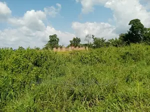 3 Plots of Land for Sale at Ayi Mensah