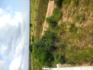 Residential Real Estate Land in Kasoa Pentecost Iwc 4 Sale