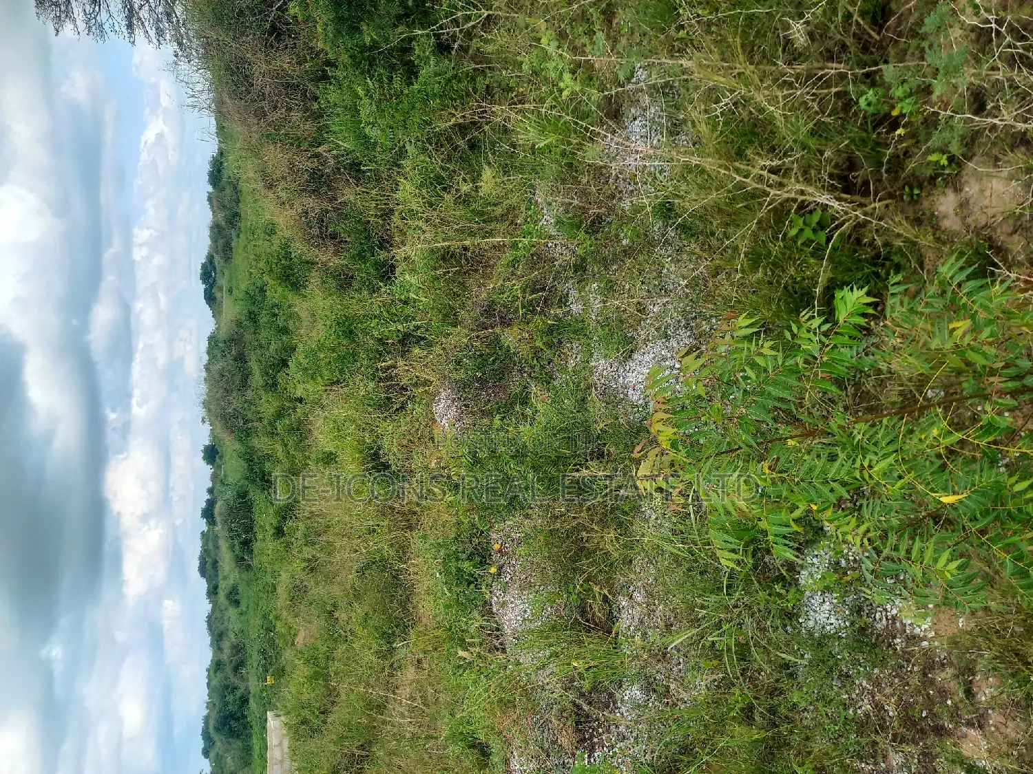 Residential Real Estate Land in Kasoa Pentecost Iwc 4 Sale